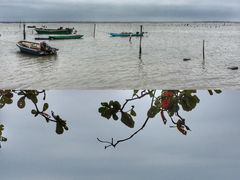 -东寨港红树林旅游区
