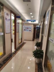 点击看大图 -碧莲盛·不剃发植发
