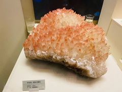 -天津自然博物馆