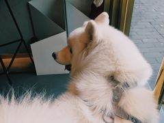 -KYO COFFEE(胶州路店)