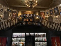 -雪灵魔法世界SHELLY’S TAROT(大良桂畔里店)