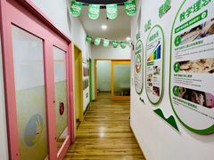 -培飞思维启蒙·益智游戏·科学探索(城西银泰店)