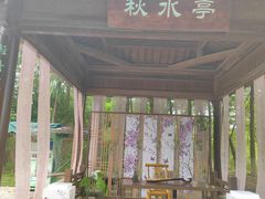 -苏州太湖国家湿地公园