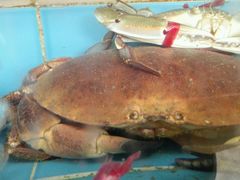 -龙溪海鲜酒家(溪涌店)