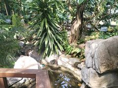 -北京植物园-展览温室