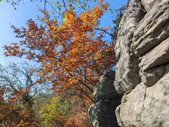 -宝岩生态观光园