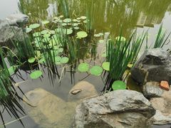 -木塔寺遗址生态公园