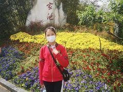 -习家池