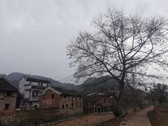 -上甘棠村