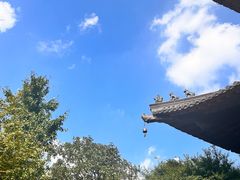 -杭州半山国家森林公园