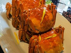 大闸蟹-夜上海(新天地店)