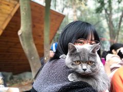 -石燕湖生态旅游景区