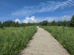 -白水寺森林公园