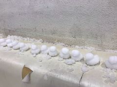 -Mr·Kuma酷么先生雪之乐园