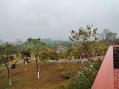 -东莞植物园