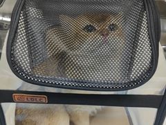 -达爱动物医院·犬猫分区·CT·复杂眼科(远洋山水分院)