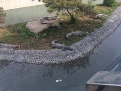 -太原动物园