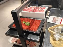 -辣伍鲜毛肚老火锅(元一店)