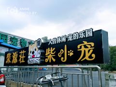 -柴源莊·柴小宠柴犬咖啡