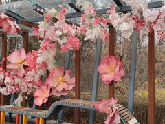 -沈阳植物园