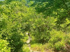 -玉渡山自然风景区