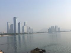 -宝安西湾红树林湿地公园