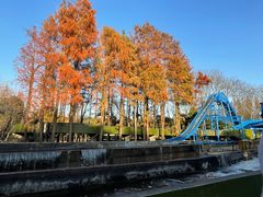 -上海共青森林公园