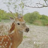  门票：5月1日前免费