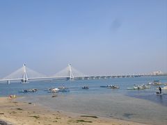 -北海金海湾红树林生态旅游区