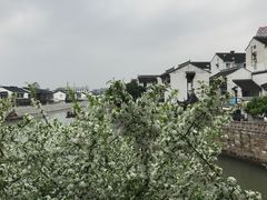 -荣阳楼(山塘街店)