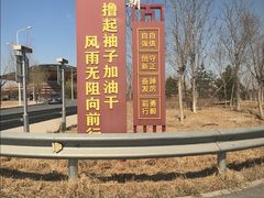 -白洋淀景区