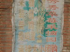 -昌平兴寿秀秀草莓采摘园