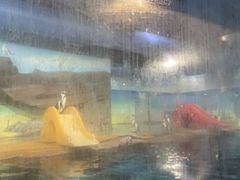 -海合安武汉极地海洋公园