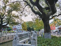 -安亭老街
