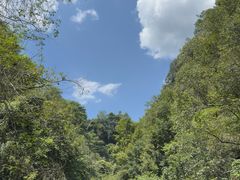 -石台牯牛降景区