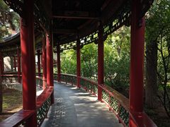 -晋祠公园