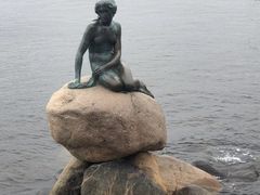 -美人鱼