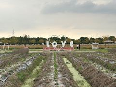 -嘉北郊野公园