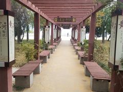 -花园口旅游区