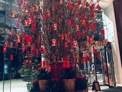 -上海雅居乐万豪侯爵酒店