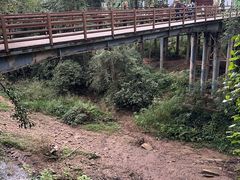 -野象谷景区