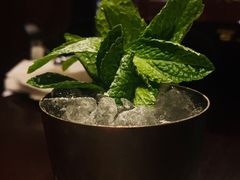 -The Bottle Bar(羲和商业广场店)