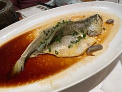 -维园悦谱·海派家常菜(乌鲁木齐南路店)