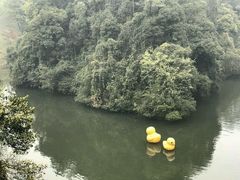 -保利石象湖景区