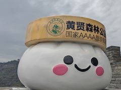 -黄贤森林公园