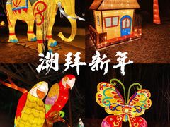 -南宫五洲植物乐园