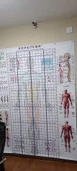 点击看大图 -Dr.林醫生产后修复·配方产康(南京江宁万达店)