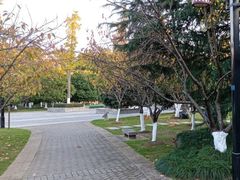 -明故宫遗址公园