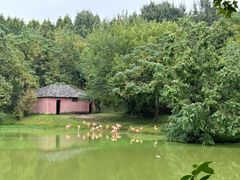 -合肥野生动物园