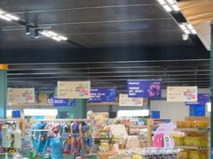 -帕帕拉兹宠物(亚洲旗舰店)